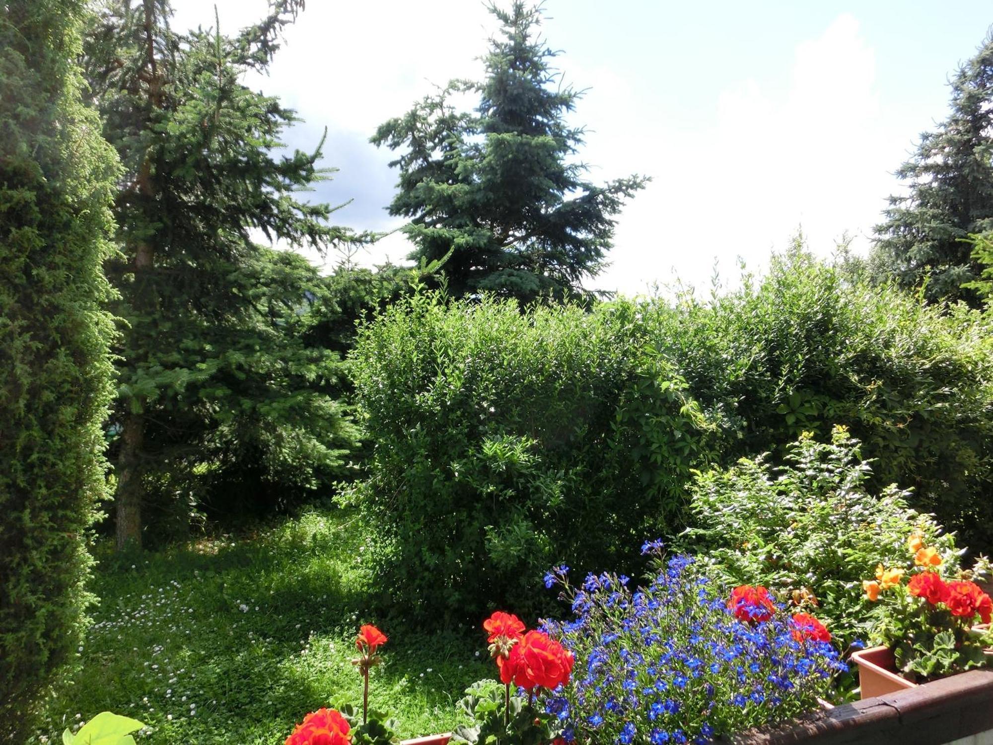 Holiday Home In Cattenstedt Harz With Garden Buitenkant foto