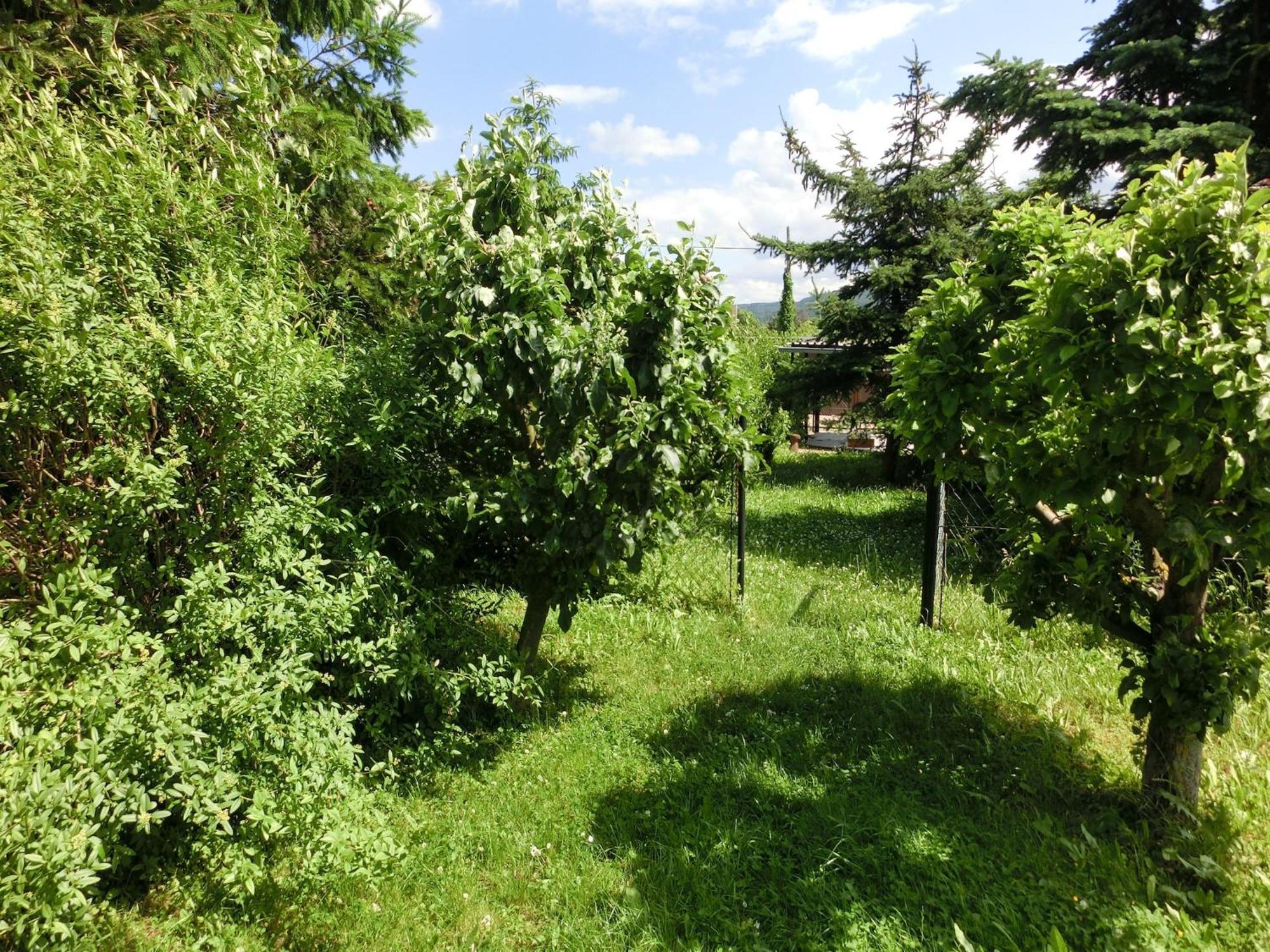 Holiday Home In Cattenstedt Harz With Garden Buitenkant foto